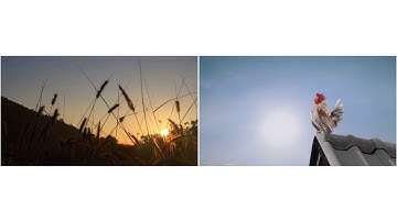 Diptych Video