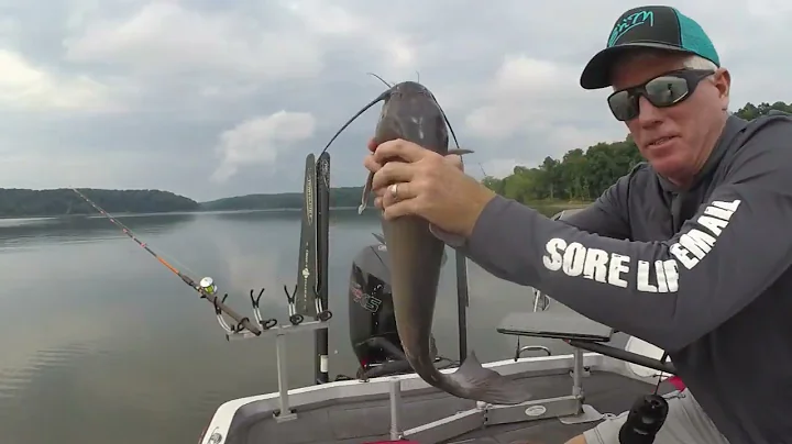 Trolling for Catfish July 2nd 2022