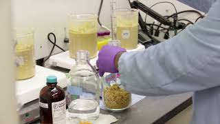 Licensing Opportunity: One-Pot Bioconversion of Distillers Grains to Advanced Biofuels