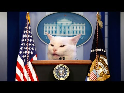 woman-yelling-at-cat-[presidential-edition]