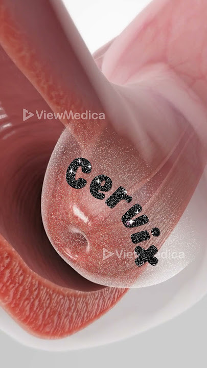 Pap Smear (3D Animation)
