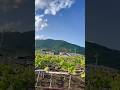 บ้านฉันที่ญี่ปุ่นเมือง“ยามานา โคฟุ ล้อมรอบไปด้วยสวนองุ่น🍇🥰