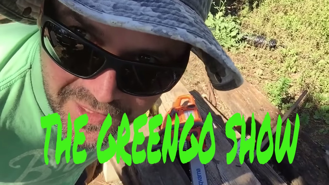 using a chain saw with vegetable oil YouTube