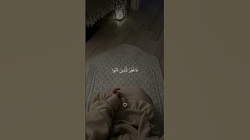#الله #لا_اله_الا_الله #تلاوة_خاشعة #رح_سمعك #اكسبلور #foryou #viral #quran #fyp