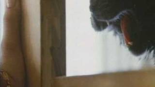 Strays 1991 Trailer.flv