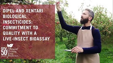 DiPel and XenTari Biological Insecticides: Commitment to Quality with a Live-Insect Bioassay