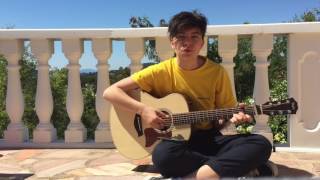 Liability - Lorde (cover)