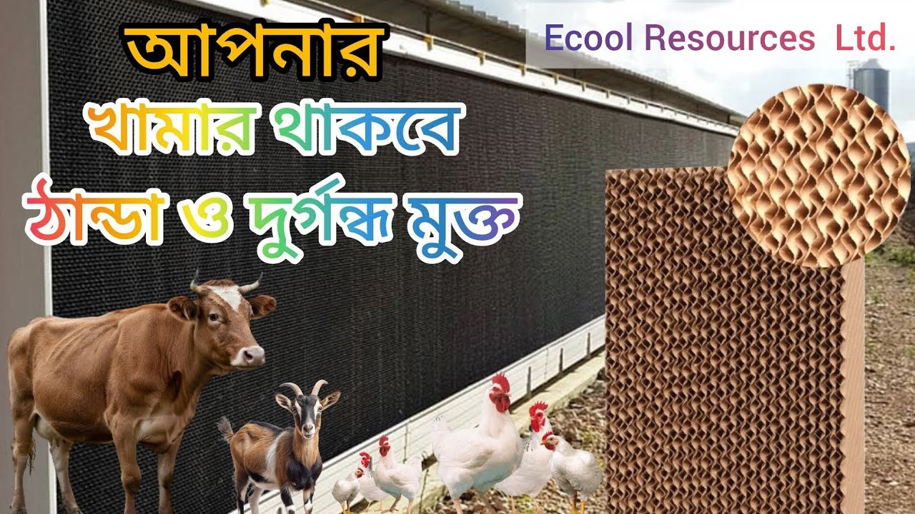 খামারীদের জন্য আদর্শ কুলিং প্যাড এবং ইন্ডাস্ট্রিয়াল এডজাস্ট ফ্যান ২০২৬।
