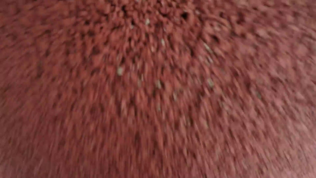 OUTDOOR GYM - Sportzentrum Schützenmatte