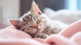 Calming Music for Anxious Cats: Soothing Sounds for Deep Relaxation and Sleep