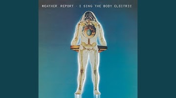 Vertical Invader/ T. H./ Dr. Honoris Causa (Live)