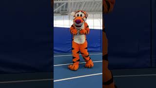 Eye of the Tigger 2 #tigger #disney #winniethepooh