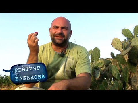 Фруктовая диета. Рейтинг Баженова. Дикарь 