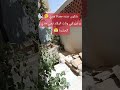 حشرة تجي غير وقت رقاد الجزائر اكسبلور  