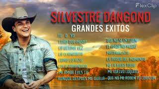 SILVESTRE DANGOND - GRANDES EXITOS VOL 2