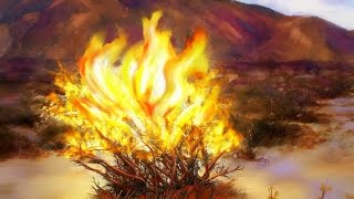 The Burning Bush - Graveyards on FIRE