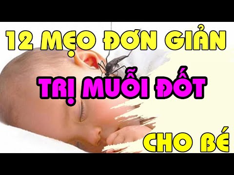 Video: Chọn gì - hóa chất hoặc biện pháp dân gian cho vết muỗi đốt?