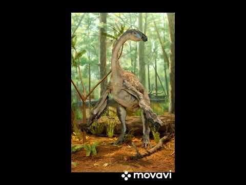 динозавры - YouTube