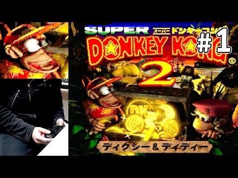 DONKEY KONG COUNTRY2 スーパードンキーコング2LP アナログ DONKEY KONG COUNTRY2 スーパードンキーコング2LP アナログ Donkey