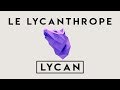 Le lycanthrope  lycan