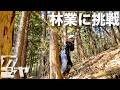 夫婦林業 始めました