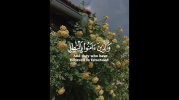 قل كفى بالله بيني وبينكم شهيدا يعلم ما في السماوات والأرض | سورة العنكبوت | القارئ عبدالرحمن مسعد