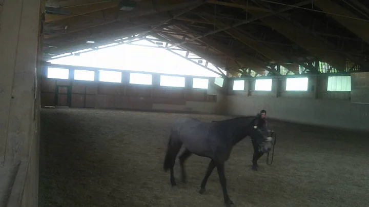 Gitano -- Longe, April 2014