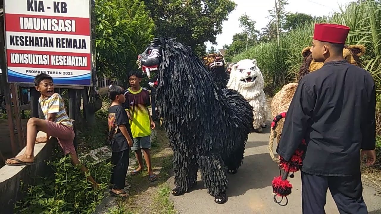 MACAN BA LAKEK di iringi drumband ba lakek kirab di gunosari