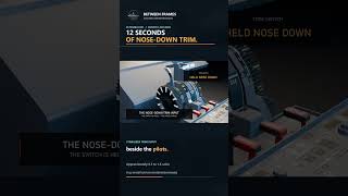 12 Seconds of Nose-Down Trim | Flydubai 981 Explained
