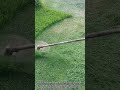 Man Cutting Short Grass With Handheld Lawn Mower For A Neat Lawn Man Cutting Short Grass With Handheld Lawn Mower For A Neat Lawn
