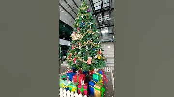 Cây thông noel KHỔNG LỒ #shorts #funny