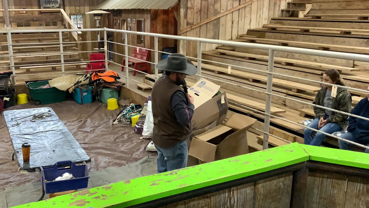 USED TACK SALE 12322 YouTube