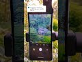 apexel 18x25 lens  zoom test #shortvideo #telephotolens #mobilephotography #shorts