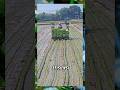 menanam padi #agriculture #farmers #traditionalfarming #modernfarming #technology #budaya #inovasi