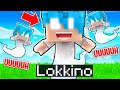LOKKINO FANTASMA TI AIUTA A FINIRE MINECRAFT ITA
