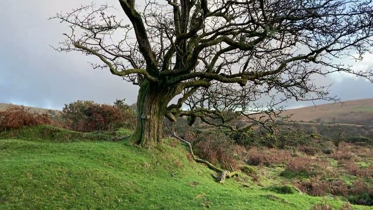 18 Minutes of Dartmoor with no talking, just silently enjoying nature and the wind