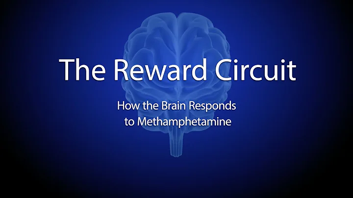 The Reward Circuit: How the Brain Responds to Meth...