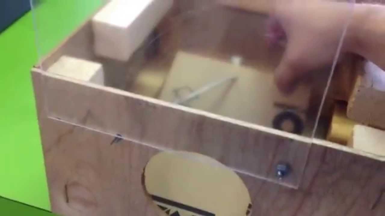 Homemade animal trap YouTube