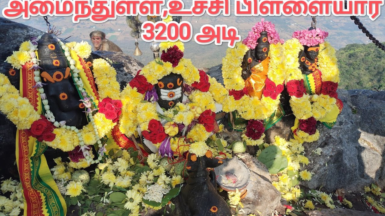 Theerthamali//தீர்த்த மலை உச்சியில் அமைந்துள்ள,உச்சி பிள்ளையார், தோடி பயனம் #3200 🐾