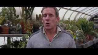 Ladybugs : How to release from NIC 3 Easy Steps To Releasing Ladybugs The Right Way