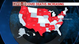At least a dozen states report record hospitalizations due to COVID-19