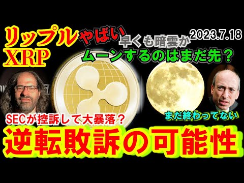 リップル（XRP）やばい！逆転敗訴の可能性？ムーンするのはまだ先か？どうなるXRP！