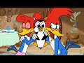 Chilly ruins woodys date  woody woodpecker