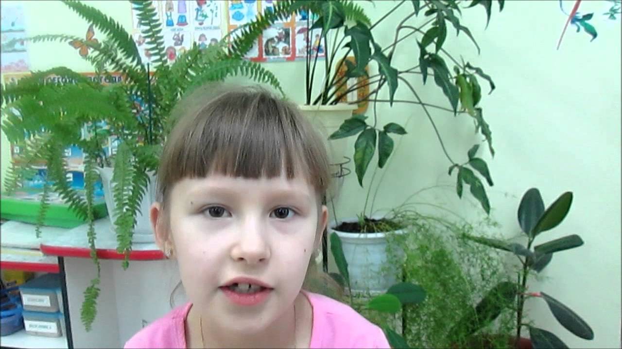 Картинки берегите родную природу Картинки берегите родную природу