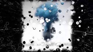 From Canvas to Cosmos: The Creative Journey of Gregory Copploe & Dani Forrest