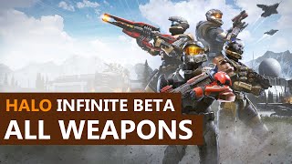 Halo Infinite Beta - All Weapons Gameplay (Ultra settings, Ultrawide)