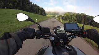 Aprilia Shiver 900 morning ride to the office, onboard, pure sound