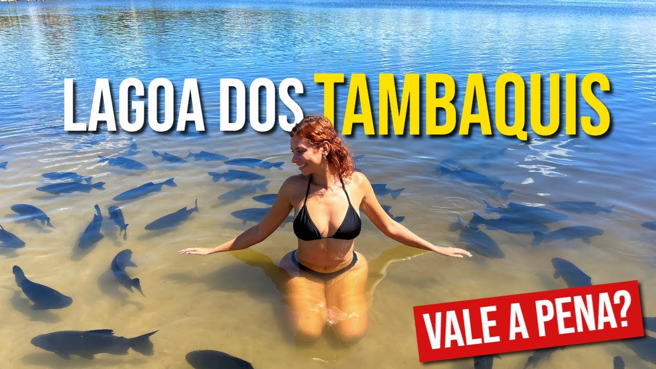 LAGOA DOS TAMBAQUIS SERGIPE – VALE A VISITA?