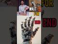Make A Robotic Hand Cardboard Based Robotic Arm Shorts Science Trending Experiment