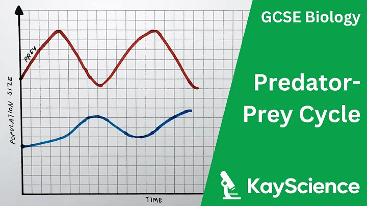 GCSE Biology – Predator-Prey Cycle